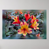 夏の色 ポスター (正面)