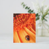 夏の色 ポストカード (スタンド正面)