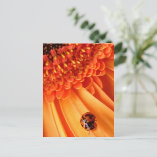 夏の色 ポストカード (スタンド正面)