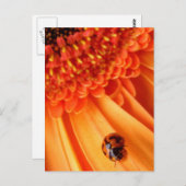 夏の色 ポストカード (正面/裏面)