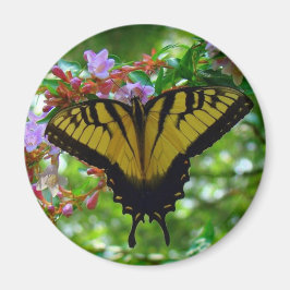 夏の色 マグネット