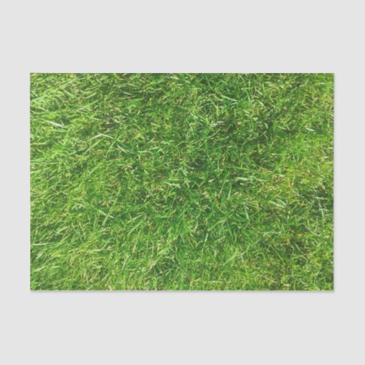 夏の芝生 薄葉紙 (正面)