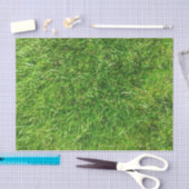 夏の芝生 薄葉紙 (クラフト)