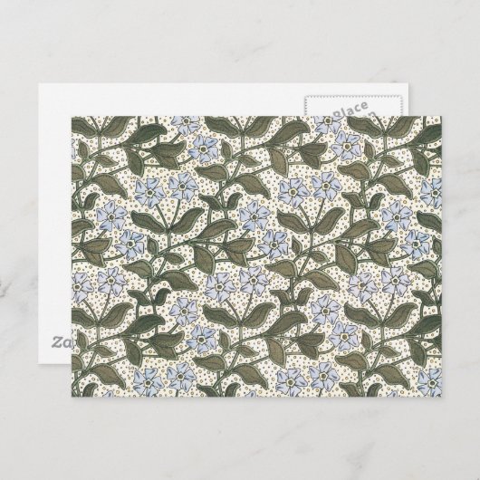 夏の花かわいらしエレガントフローラ ポストカード (正面/裏面)