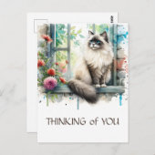 夏の花が咲く窓のラグドール・ベージュ猫 ポストカード (正面/裏面)