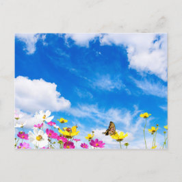 夏の花と空 ポストカード