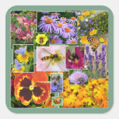 夏の花と虫のコラージュ スクエアシール (正面)