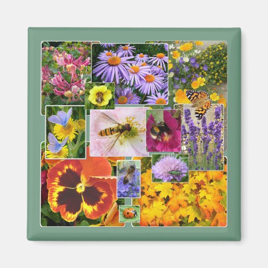 夏の花と虫のコラージュ マグネット (正面)