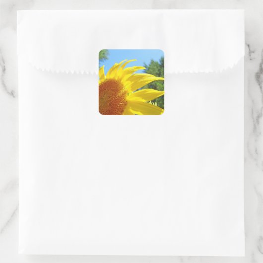 夏の花のシールをカスタマイズ スクエアシール (バッグ)