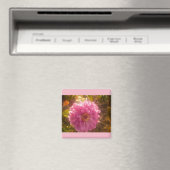 夏の花カーネーション磁石 マグネット (インサイチュ (食洗機))