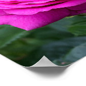 夏の花盛り ポスター (角)