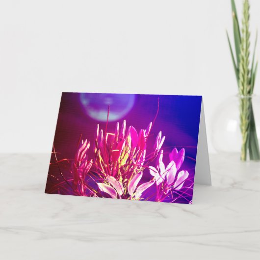 夏の花 カード (正面)