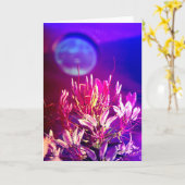 夏の花 カード (黄色い花)