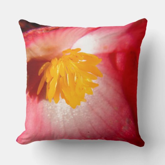 夏の花 クッション (正面)