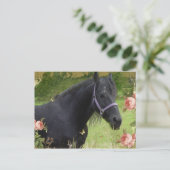 夏の花 シーズンポストカード (スタンド正面)