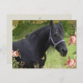 夏の花 シーズンポストカード (正面/裏面)