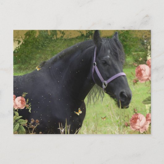 夏の花 シーズンポストカード (正面)