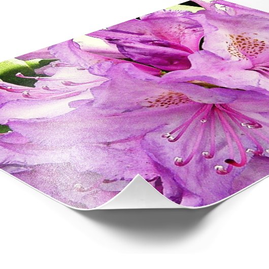 夏の花 フォトプリント            (角)