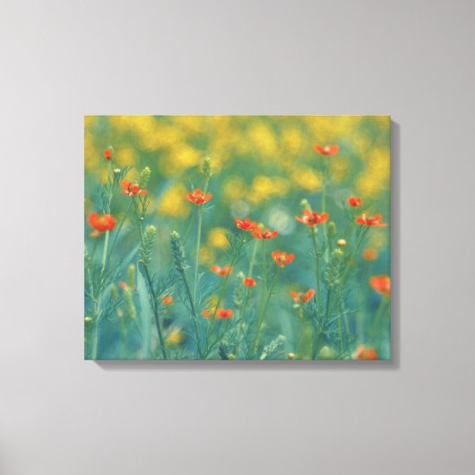 夏の花(フローラ畑) （赤い花） キャンバスプリント (正面)