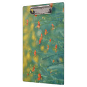 夏の花(フローラ畑) （赤い花） クリップボード (左)