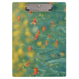 夏の花(フローラ畑) （赤い花） クリップボード