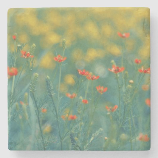 夏の花(フローラ畑) （赤い花） ストーンコースター (正面)