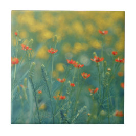 夏の花(フローラ畑) （赤い花） タイル