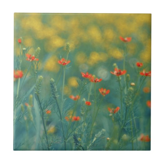 夏の花(フローラ畑) （赤い花） タイル (正面)
