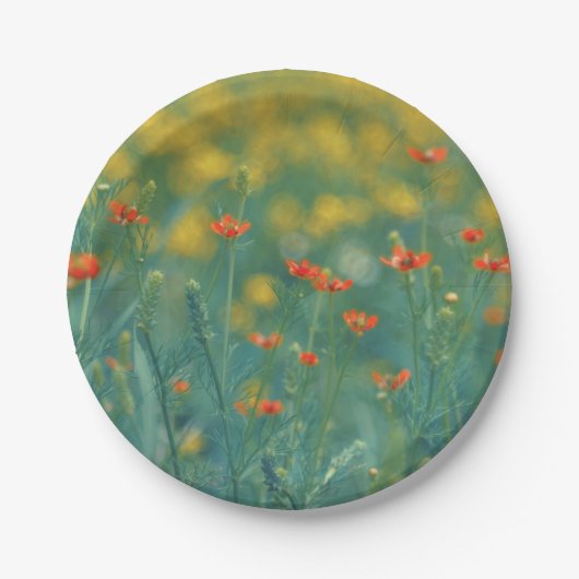 夏の花(フローラ畑) （赤い花） ペーパープレート (正面)