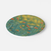 夏の花(フローラ畑) （赤い花） ペーパープレート (アングル)