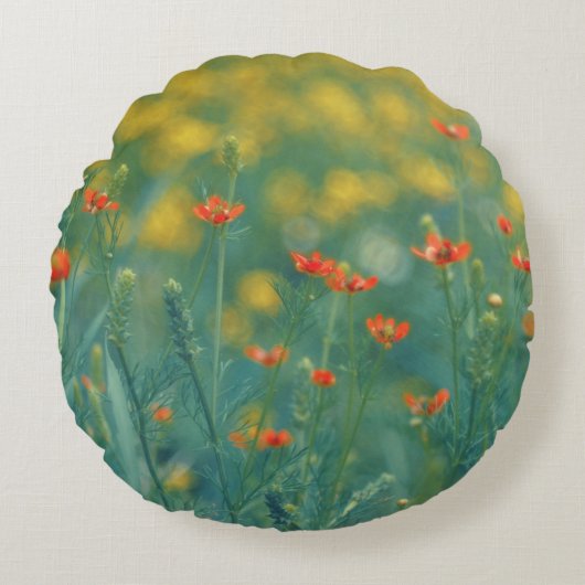 夏の花(フローラ畑) （赤い花） ラウンドクッション (正面)