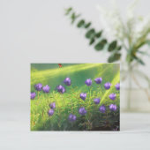 夏の花 ポストカード (スタンド正面)