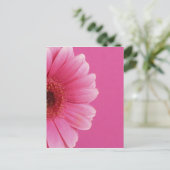 夏の花 ポストカード (スタンド正面)