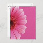 夏の花 ポストカード (正面/裏面)