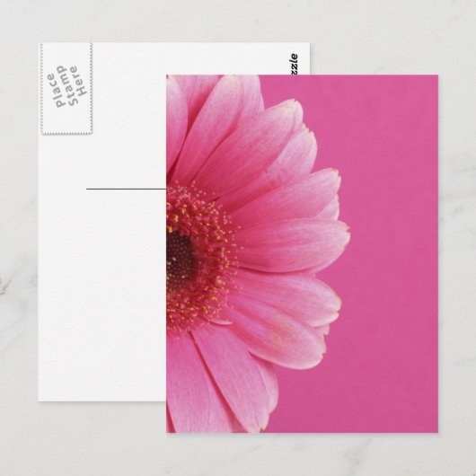 夏の花 ポストカード (正面/裏面)