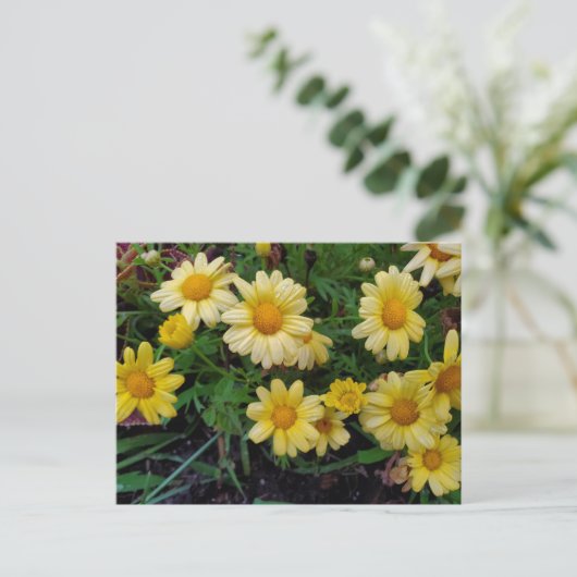 夏の花 ポストカード (スタンド正面)