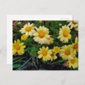 夏の花 ポストカード (正面/裏面)