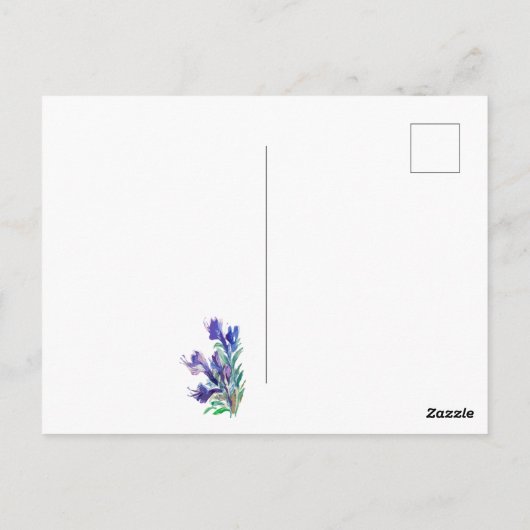 夏の花 ポストカード (裏面)