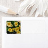 夏の花 ラベル (インサイチュ)