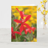 夏の花-王室のなcatchfly カード (黄色い花)