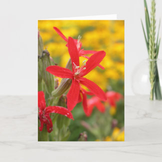 夏の花-王室のなcatchfly カード