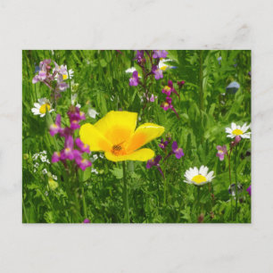 夏の花DIYはがき ポストカード