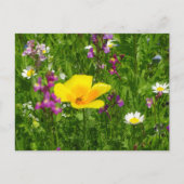 夏の花DIYはがき ポストカード (正面)