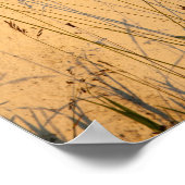 夏の草と影はがき ポスター (角)