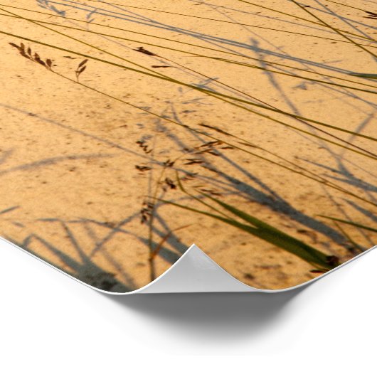 夏の草と影はがき ポスター (角)