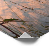 夏の草と影はがき ポスター (角)