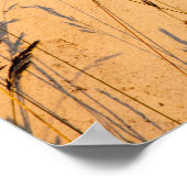 夏の草と影はがき ポスター (角)