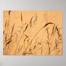 夏の草と影はがき ポスター