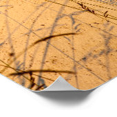 夏の草と影はがき ポスター (角)