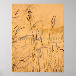 夏の草と影はがき ポスター